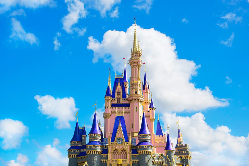 Disney World castle
