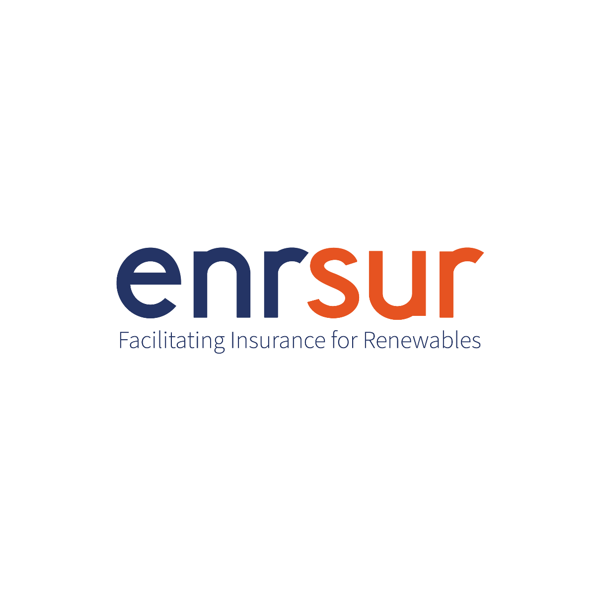 Final version of Enrsur logo