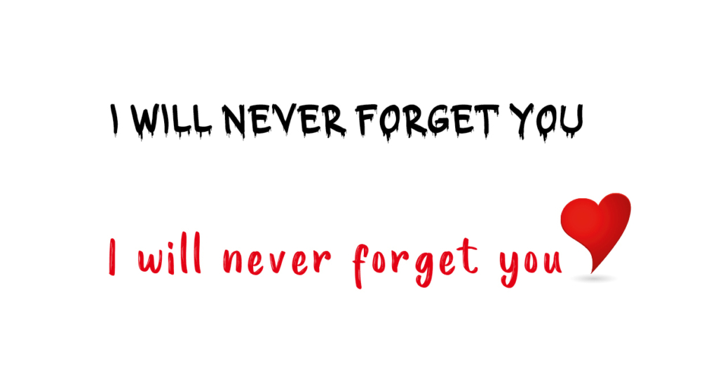 I will never forget you message